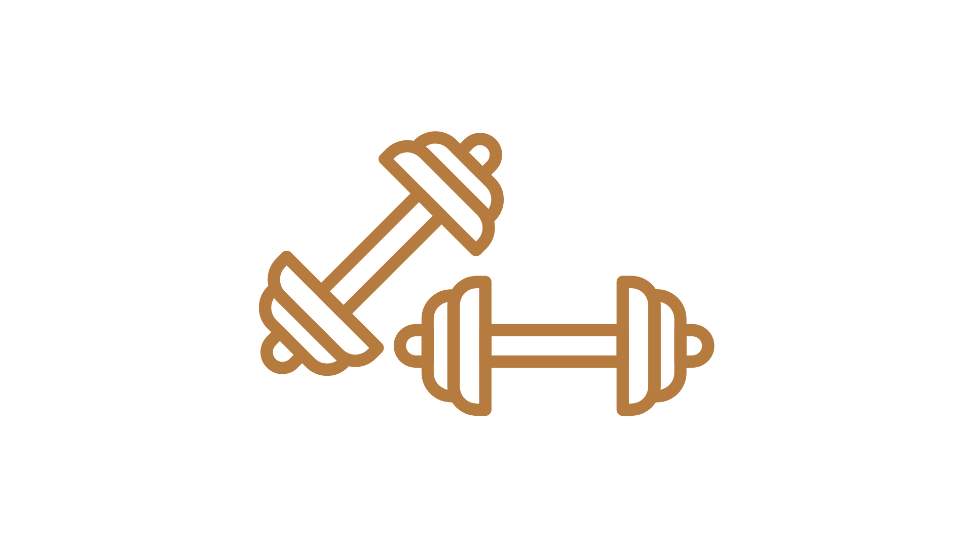 12 Personal Training Sessions